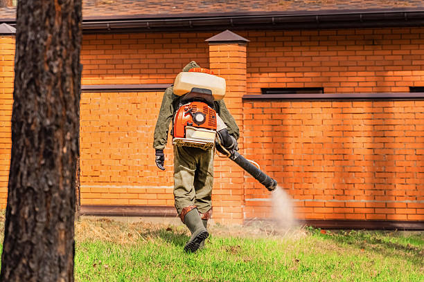 Trusted Termite Control service in Clay Center, KS - Nex Pest Control